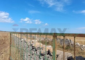 Vista dell\'acqua - Terreno agricolo Contrada Signoritto
 
SNC, San Giovanni Rotondo - foto 8