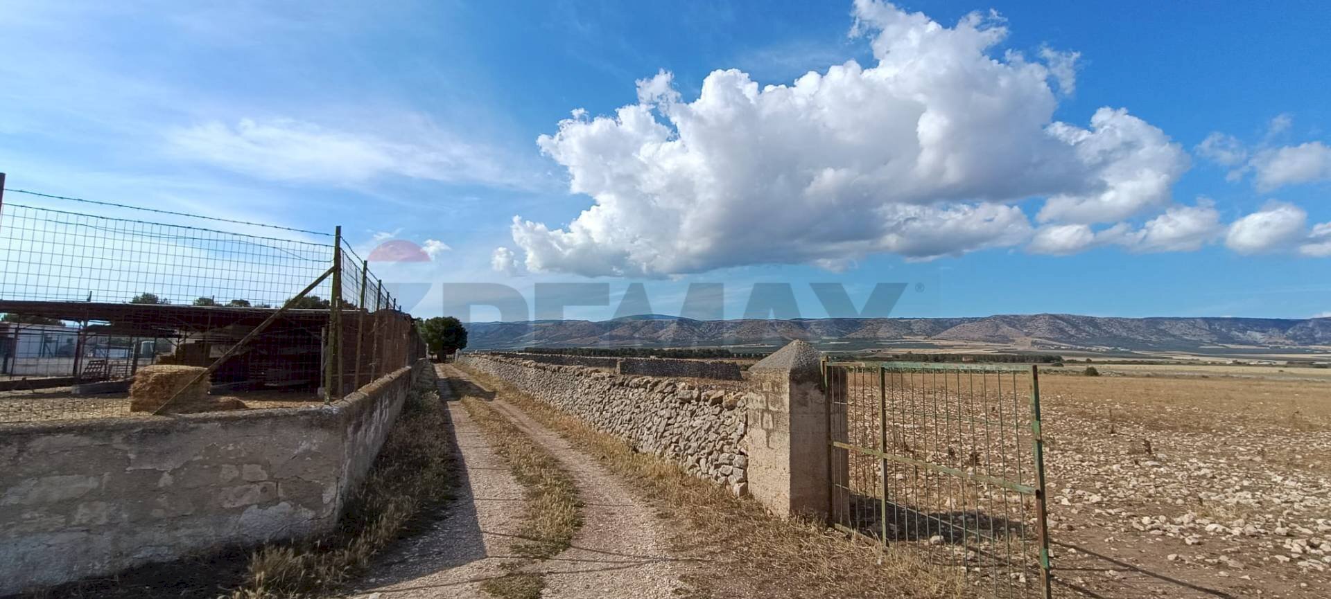Vista delle montagne - Terreno agricolo Contrada Signoritto
 
SNC, San Giovanni Rotondo - foto 1