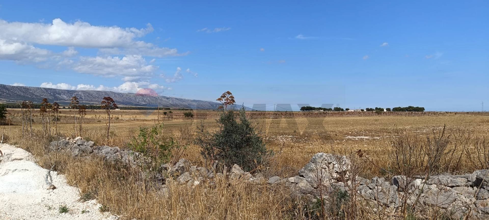 Vista delle montagne - Terreno agricolo Contrada Signoritto
 
SNC, San Giovanni Rotondo - foto 3
