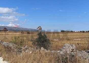 Vista delle montagne - Terreno agricolo Contrada Signoritto
 
SNC, San Giovanni Rotondo - foto 3