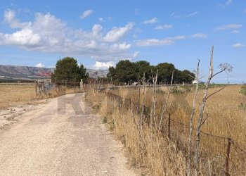 Vista delle montagne - Terreno agricolo Contrada Signoritto
 
SNC, San Giovanni Rotondo - foto 5