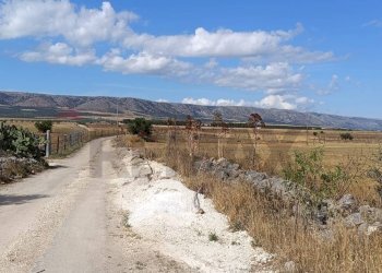 Vista delle montagne - Terreno agricolo Contrada Signoritto
 
SNC, San Giovanni Rotondo - foto 8
