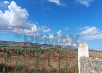 Vista delle montagne - Terreno agricolo Contrada Signoritto
 
SNC, San Giovanni Rotondo - foto 12