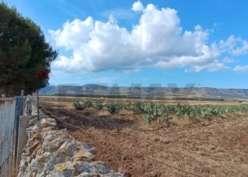 Vista delle montagne - Terreno agricolo Contrada Signoritto
 
SNC, San Giovanni Rotondo - foto 13