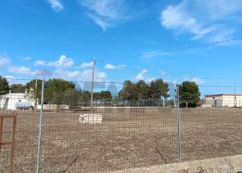 Non correlato - Terreno agricolo Contrada Signoritto
 
SNC, San Giovanni Rotondo - foto 16