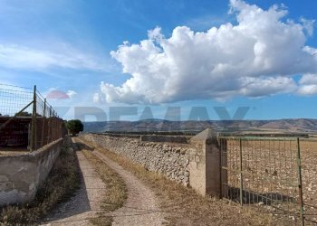 Vista delle montagne - Terreno agricolo Contrada Signoritto
 
SNC, San Giovanni Rotondo - foto 17