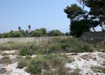Giardino - Terreno edificabile Siracusa - foto 15