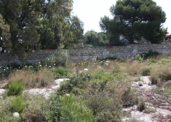 Giardino - Terreno edificabile Siracusa - foto 16
