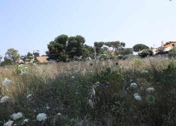 Giardino - Terreno edificabile Siracusa - foto 20