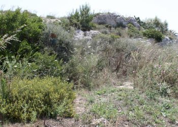 Non correlato - Terreno edificabile Siracusa - foto 26