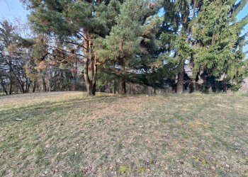 Giardino - Casa indipendente Solto Collina - foto 13