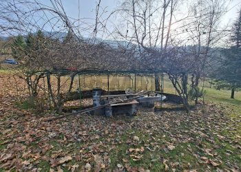 Giardino - Casa indipendente Solto Collina - foto 18