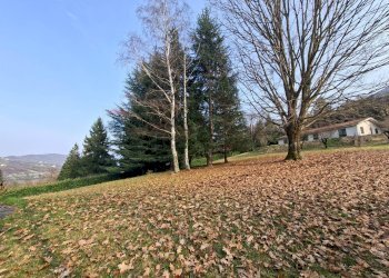 Giardino - Casa indipendente Solto Collina - foto 19