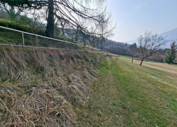 Giardino - Casa indipendente Solto Collina - foto 49