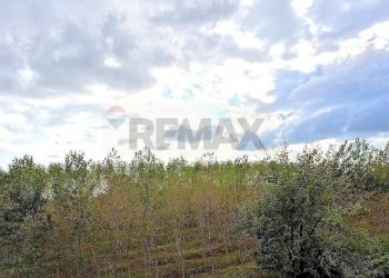 Edificio all\'aperto - Trilocale Via Nazionale
 
94, Cambiano - foto 5