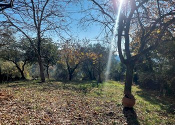 Foto 26 - Villa via Santa Lucia, Morlupo - foto 26