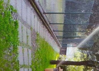 Foto 3 - Trilocale VIA ENRICO DI SAN MARTINO VALPERGA, Roma - foto 3