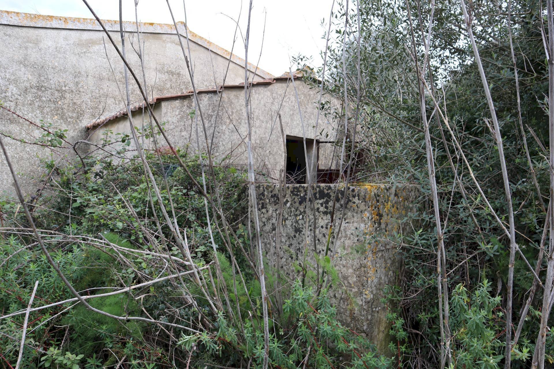 Giardino - Rustico C.da cozzo di lupi
snc, Ragusa - foto 3