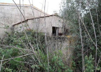 Giardino - Rustico C.da cozzo di lupi
 
snc, Ragusa - foto 3