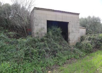 Casa all\'aperto - Rustico C.da cozzo di lupi
 
snc, Ragusa - foto 4