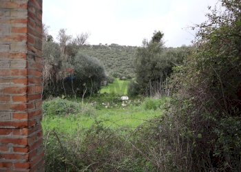 Giardino - Rustico C.da cozzo di lupi
 
snc, Ragusa - foto 14