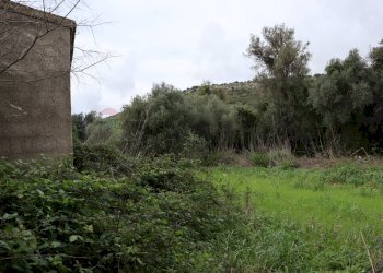 Giardino - Rustico C.da cozzo di lupi
 
snc, Ragusa - foto 15