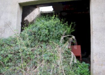 Giardino - Rustico C.da cozzo di lupi
 
snc, Ragusa - foto 16