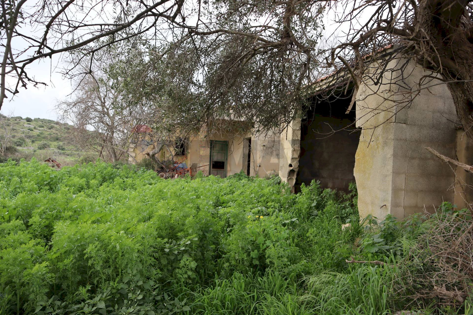 Giardino - Rustico C.da Galerme
 
snc, Ragusa - foto 3