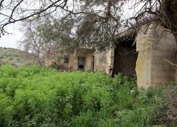 Giardino - Rustico C.da Galerme
 
snc, Ragusa - foto 3