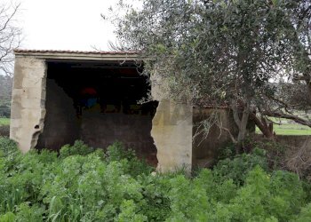 Giardino - Rustico C.da Galerme
 
snc, Ragusa - foto 6