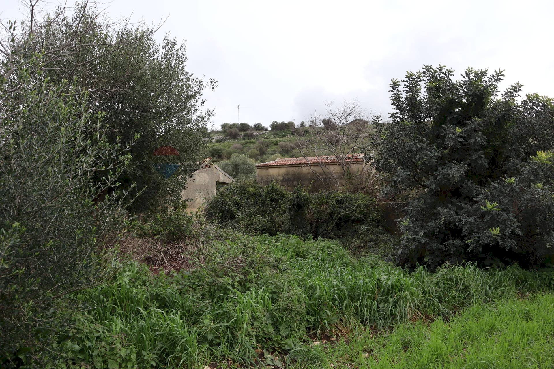 Giardino - Rustico C.da Galerme
snc, Ragusa - foto 2