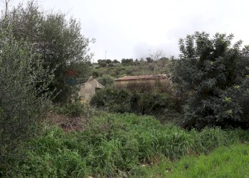 Giardino - Rustico C.da Galerme
 
snc, Ragusa - foto 2