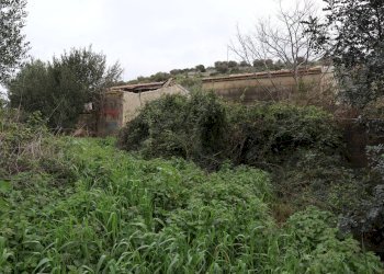 Giardino - Rustico C.da Galerme
 
snc, Ragusa - foto 4