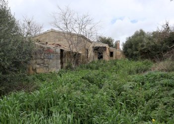 Giardino - Rustico C.da Galerme
 
snc, Ragusa - foto 5