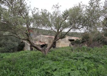 Giardino - Rustico C.da Galerme
 
snc, Ragusa - foto 6