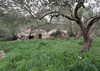 Giardino - Rustico C.da Galerme
 
snc, Ragusa - foto 8