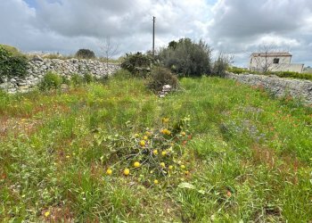 Giardino - Rustico Modica - foto 11
