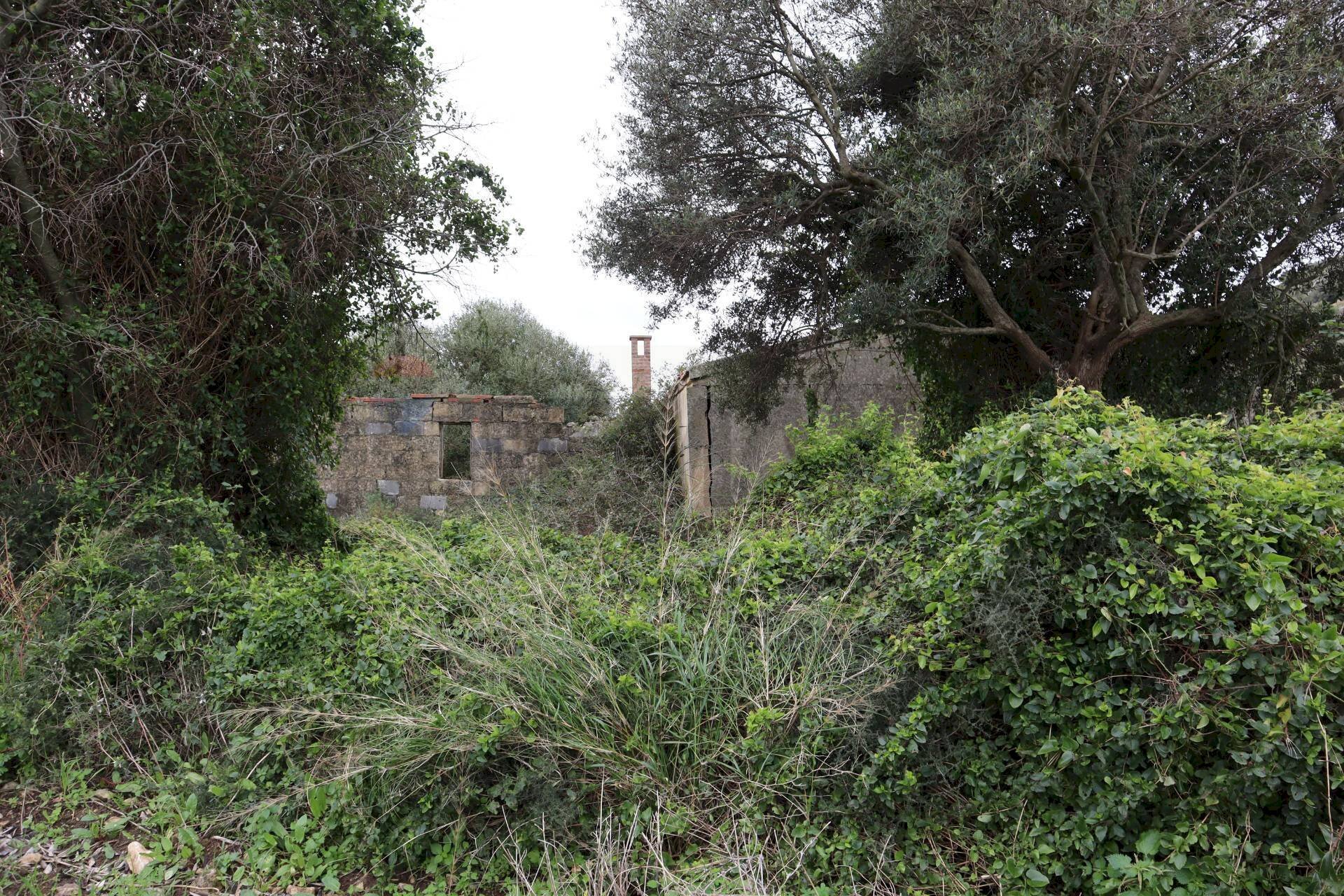 Giardino - Rustico C.da Galerme
 
snc, Ragusa - foto 2