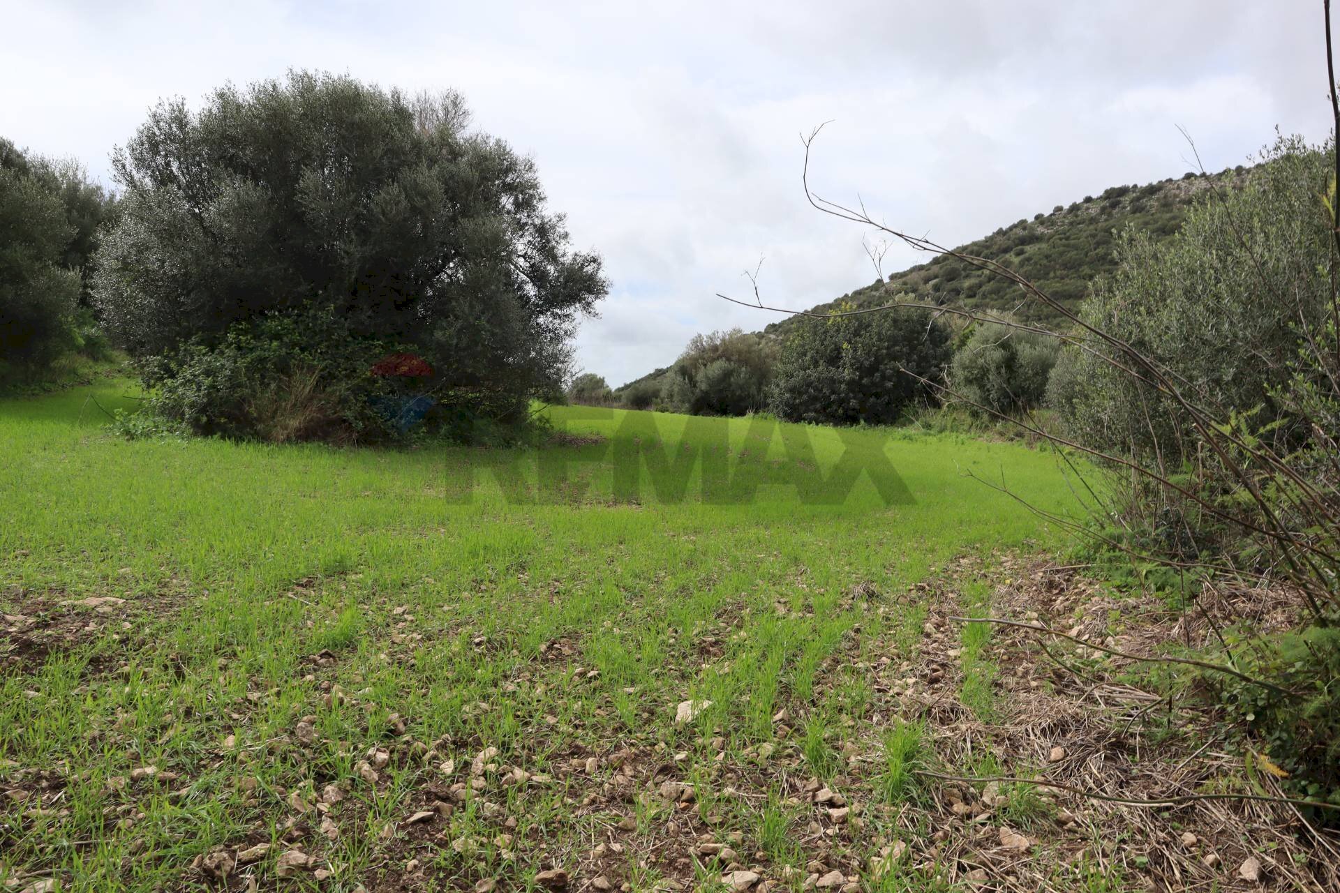 Giardino - Rustico C.da Galerme
 
snc, Ragusa - foto 3