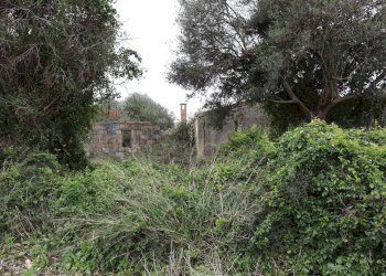 Giardino - Rustico C.da Galerme
 
snc, Ragusa - foto 2