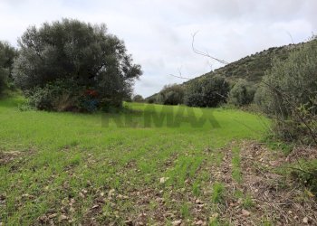 Giardino - Rustico C.da Galerme
 
snc, Ragusa - foto 3