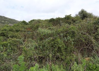 Vista delle montagne - Rustico C.da Galerme
 
snc, Ragusa - foto 5