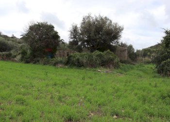 Giardino - Rustico C.da Galerme
 
snc, Ragusa - foto 7