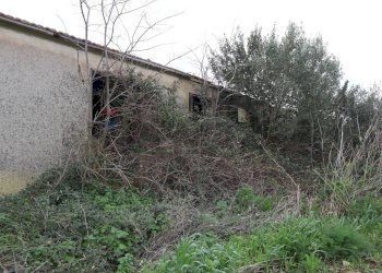 Giardino - Rustico C.da Galerme
 
snc, Ragusa - foto 8