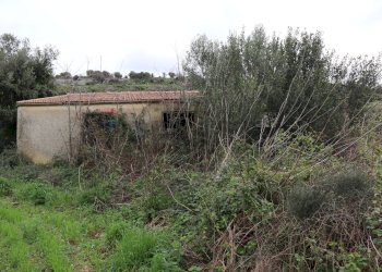 Giardino - Rustico C.da Galerme
 
snc, Ragusa - foto 10