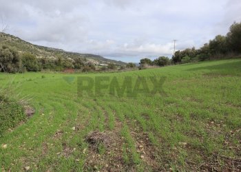 Vista delle montagne - Rustico C.da Galerme
 
snc, Ragusa - foto 11