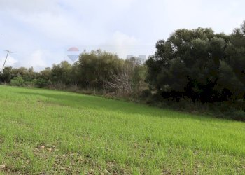 Giardino - Rustico C.da Galerme
 
snc, Ragusa - foto 12