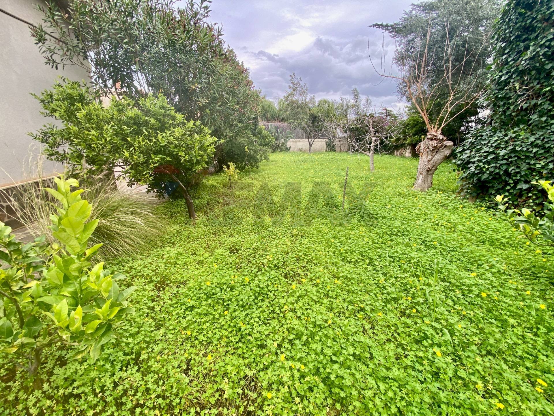 Giardino - Casa semi indipendente via piano san michele 16, Altavilla Milicia - foto 2