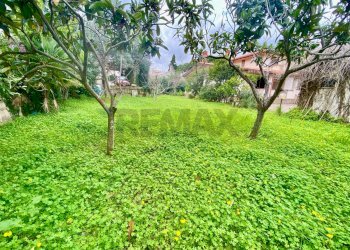 Giardino - Casa semi indipendente via piano san michele 16, Altavilla Milicia - foto 5