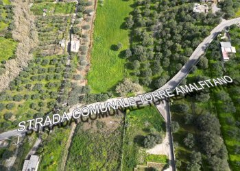 Foto 3 - Agricultural land Strada Comunale Torre Amalfitano, Bagheria - photo 2